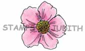 E-171 Sm. Wild Rose